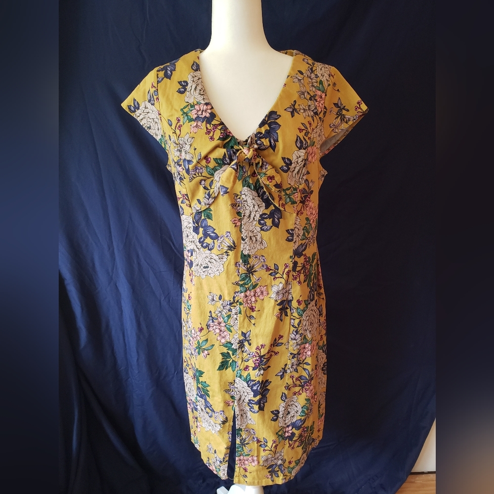 Joe Browns Bust Tie Dress